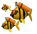 Smalldiver
