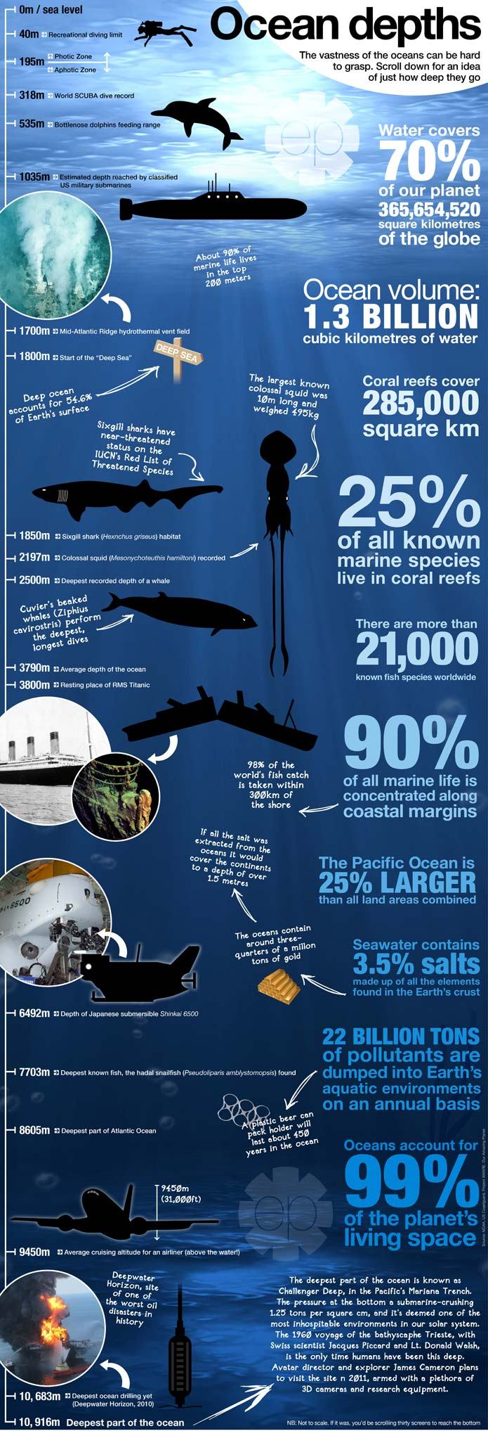 ocean-graphic-web